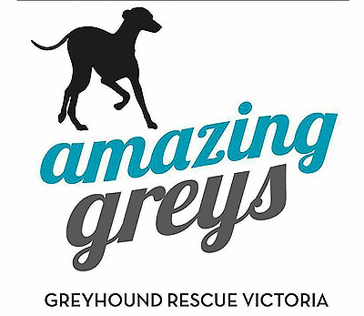 Amazing%20Greys_LOGO